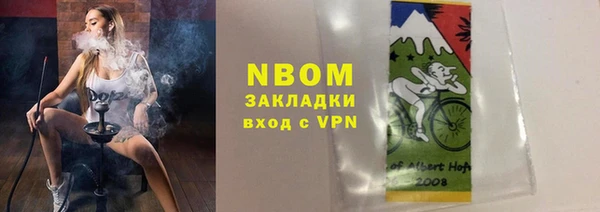 хмурый Алзамай